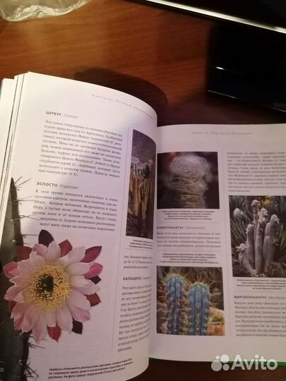 Книги Кактусы, Фиалка, Садовник