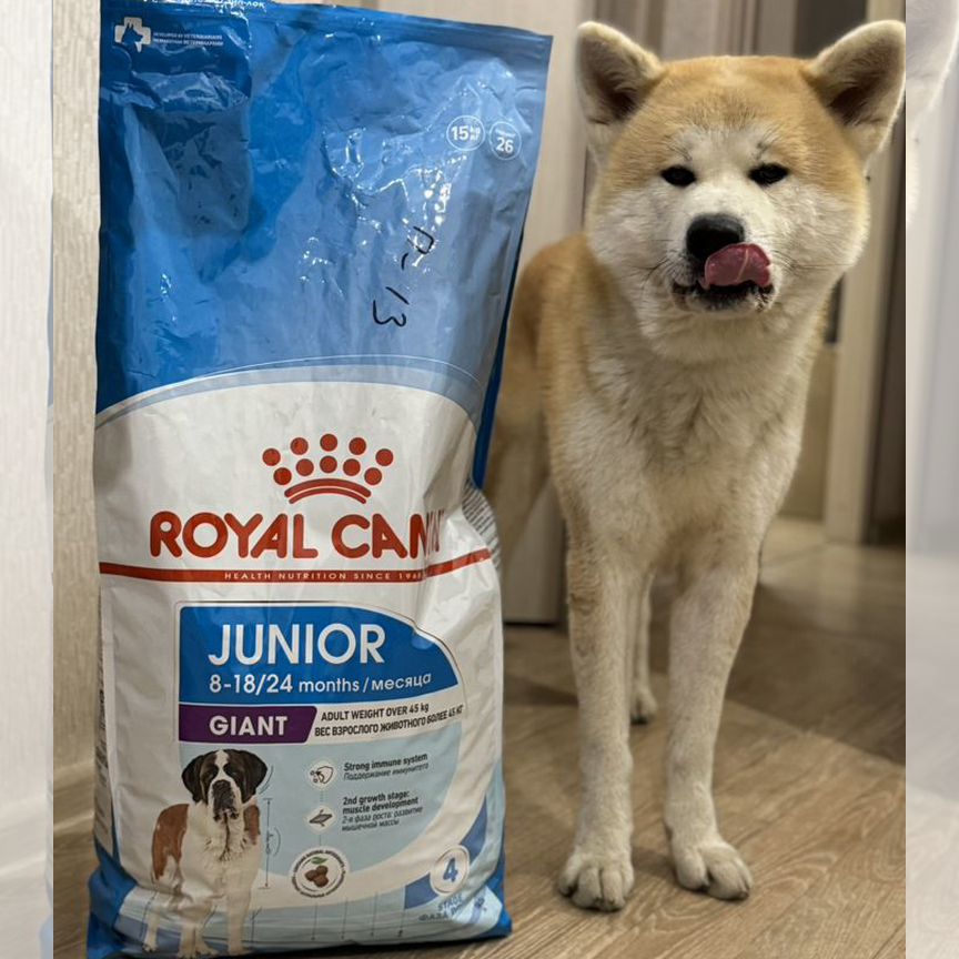 Корм для собак royal canin junior giant