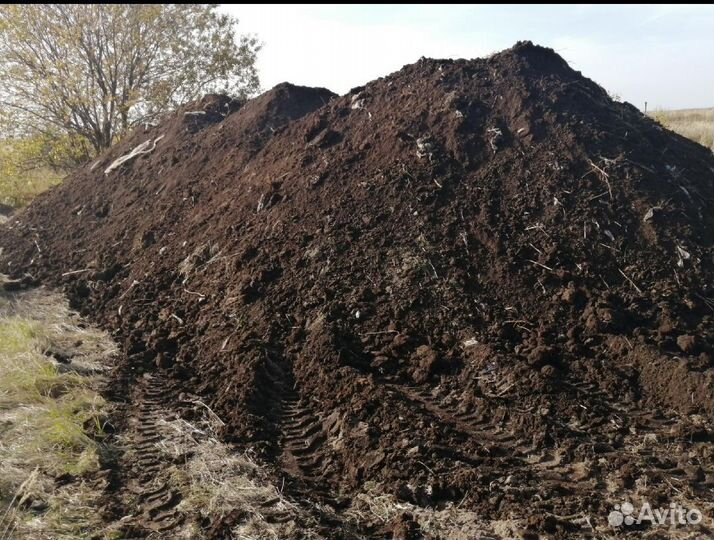 Перегной для рассады растений