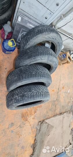 Nokian Tyres WR D3 185/65 R15 91