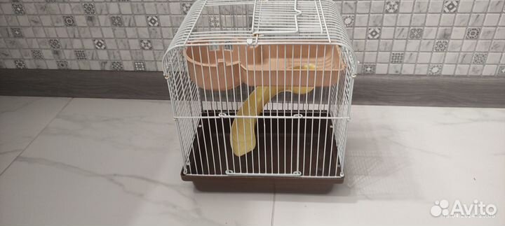 Клетка для джунгарского хомяка