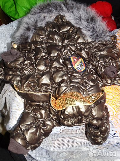 Одежда для совсем маленькой собаки