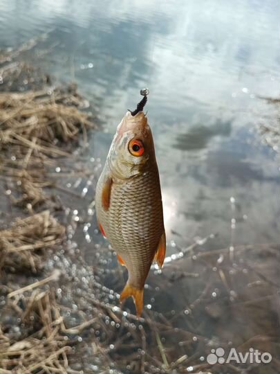 Мормышки одноухие свинцовые 0.2 - 0.7 гр