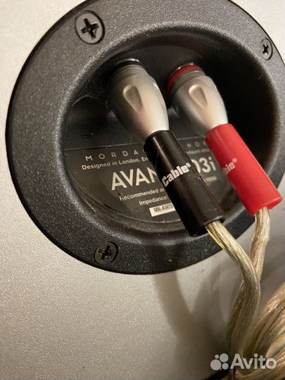 Mondaunt-short колонки разработаны в Лондоне