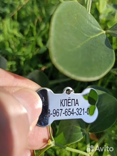 Жетон для животных