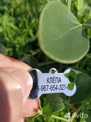 Жетон для животных