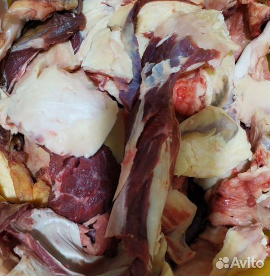 Обрезь говяжья