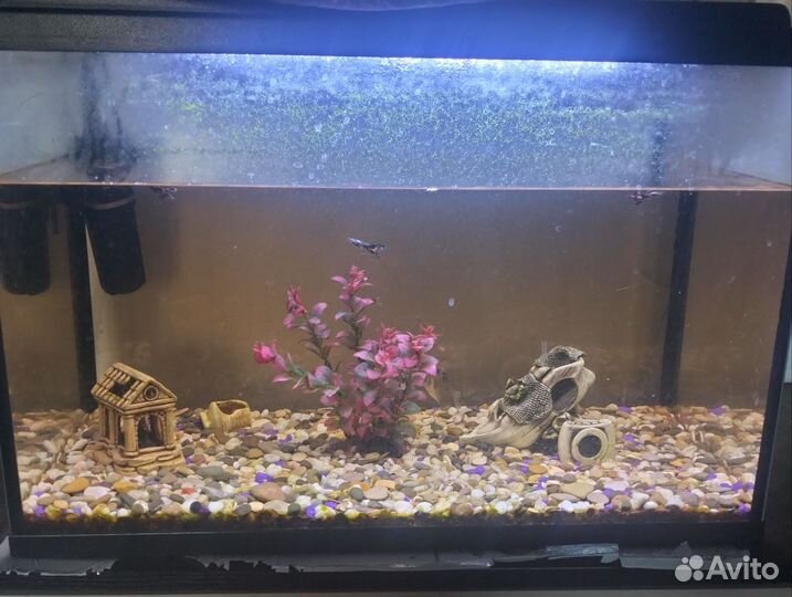 Аквариум