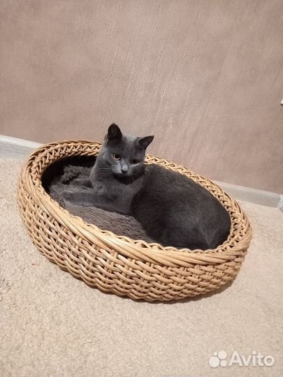 Лежанка для собак и кошек