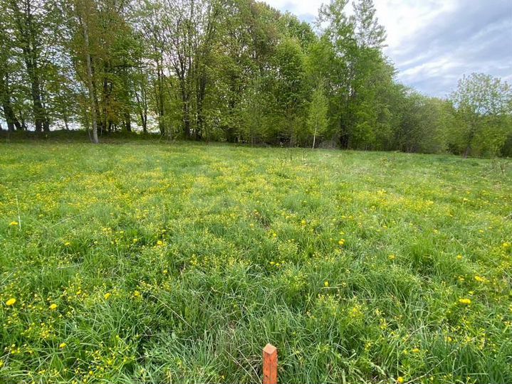 Участок 11 сот. (ИЖС)