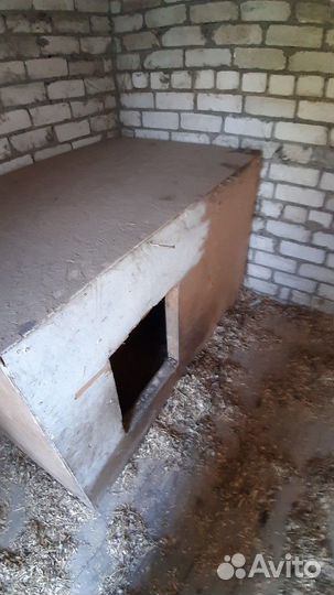 Гостиница для собак, передержка