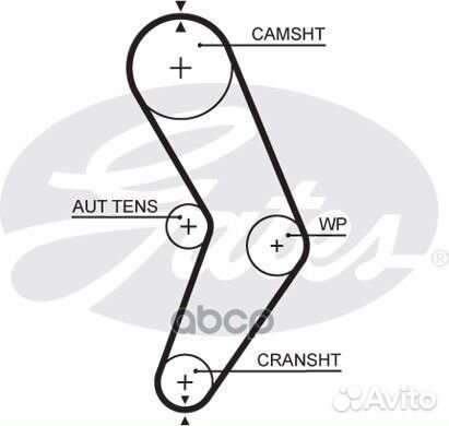 Ремень грм Renault. Dacia 1.4-1.6 8V Z96*17.3