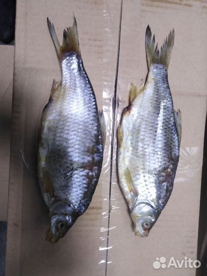 Вяленая рыба оптом и в розницу
