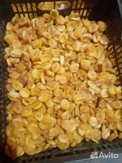 Курага медовая