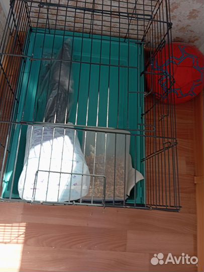 Клетка для кролика