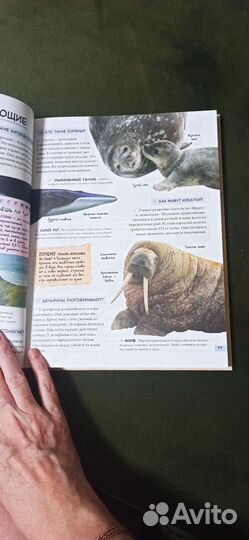 Детская энциклопедия