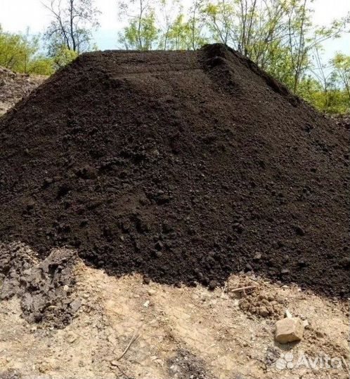 Чернозем рязанский