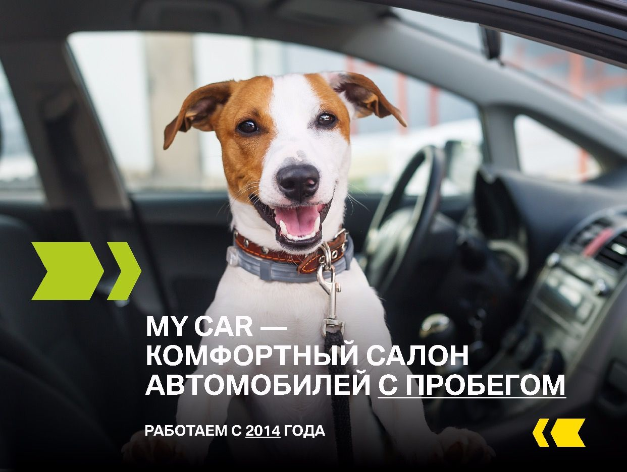 MY CAR — комфортный салон автомобилей с пробегом. Профиль пользователя на  Авито