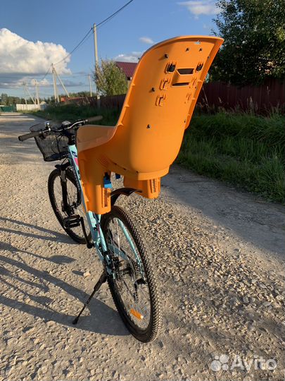 Детское велокресло Thule RideAlong Lite