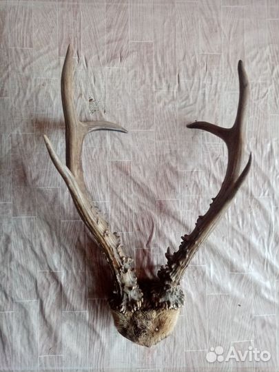 Вешалка для одежды