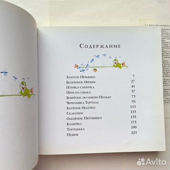 Волшебная книга сказок. Перевод с Итальянского