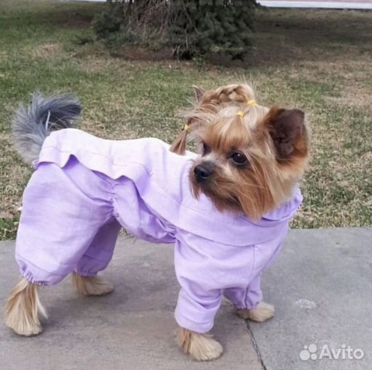 Комбинезоны-пыльник с ловушками от клещей д/собак