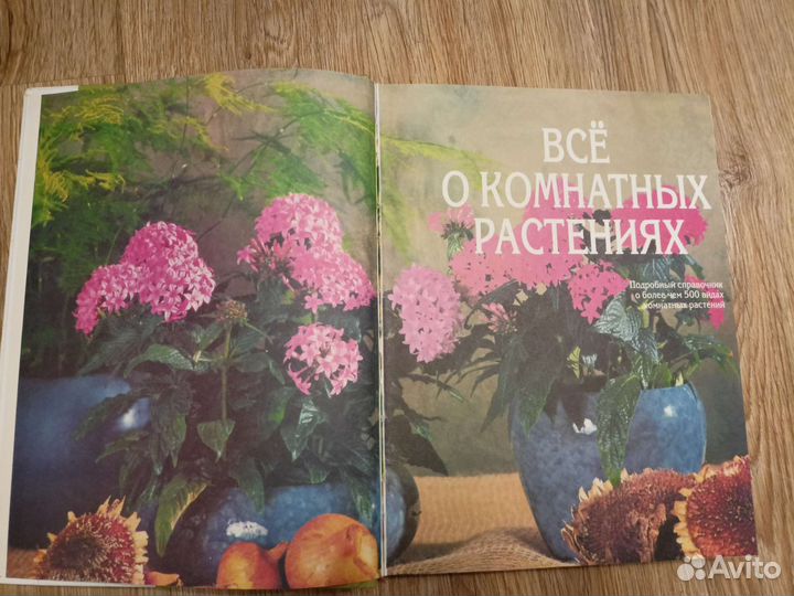 Современная энциклопедия домашнего хозяйства