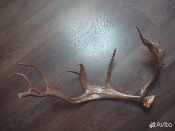 Сувенир из кости