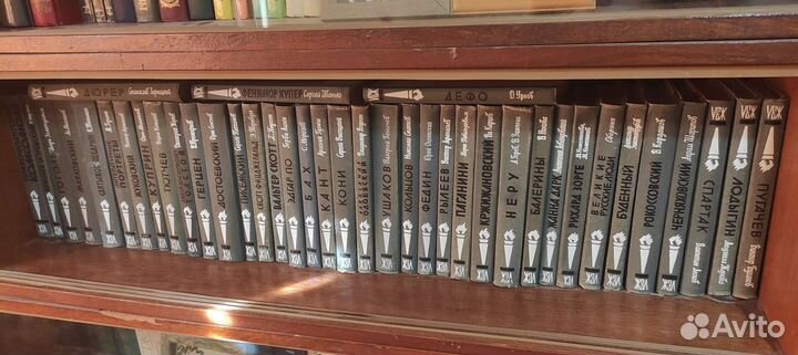 Книги серии Жизнь замечательных людей СССР