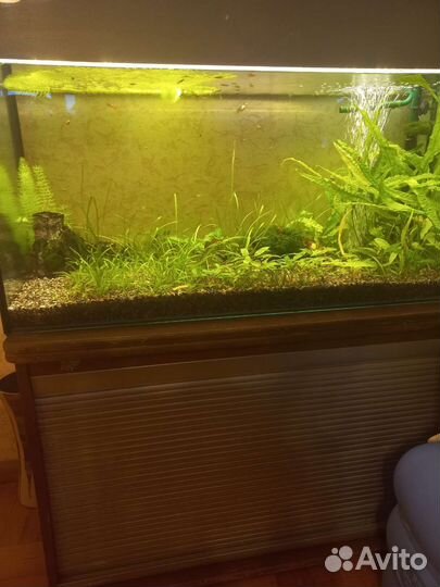 Аквариум 200 литров с тумбой