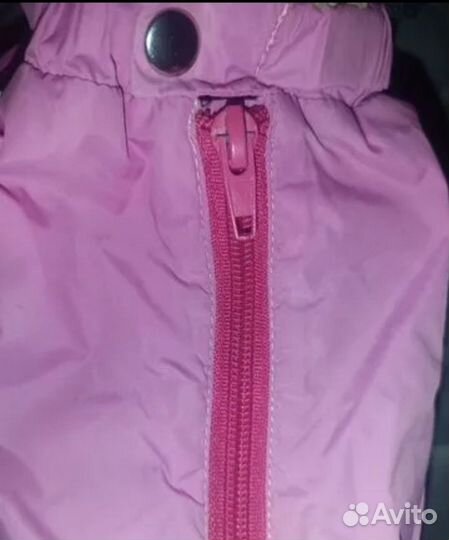 Костюмы для собак малых и средних пород утепленные