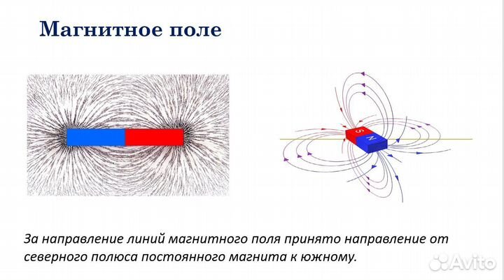 Репетитор по физике и математике онлайн