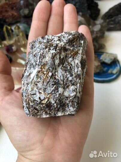 Астрофилит