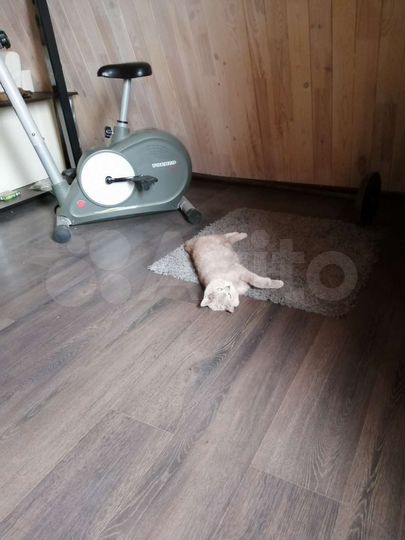 Дом 90 м² на участке 8 сот.