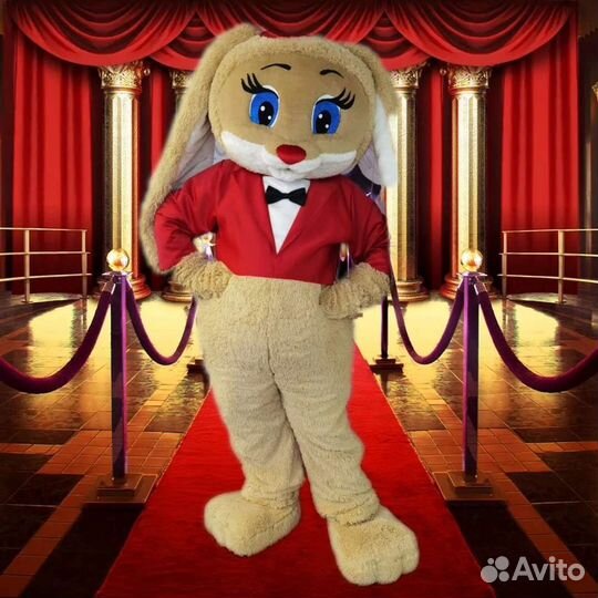 Экспресс поздравления