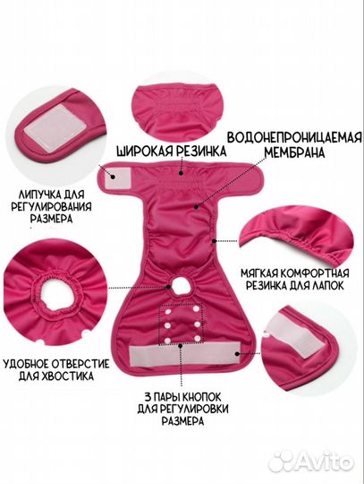 Трусы для собак при течке