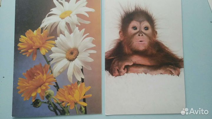 Открытки СССР