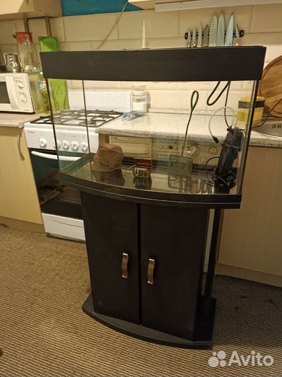 Панорамный аквариум с тумбой на 70 литров