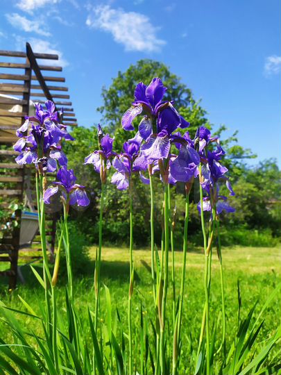 Дом 35,1 м² на участке 20 сот.