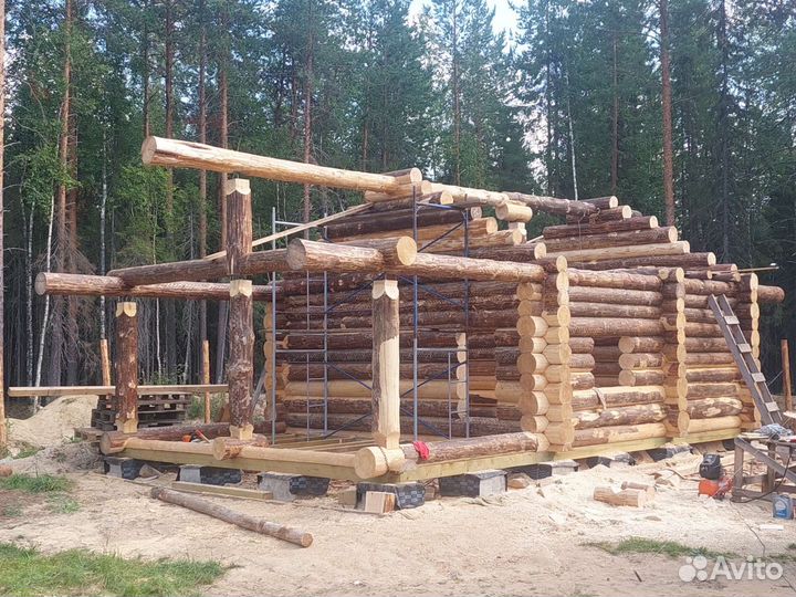Сруб/Дом/Баня/Беседка