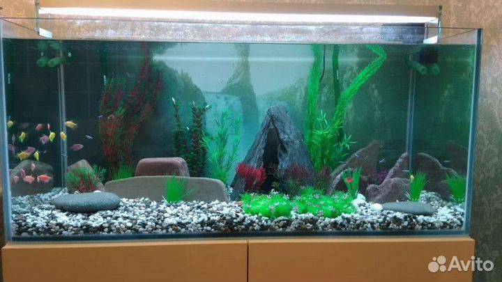 Установка и оформление,аквариумов и их систем