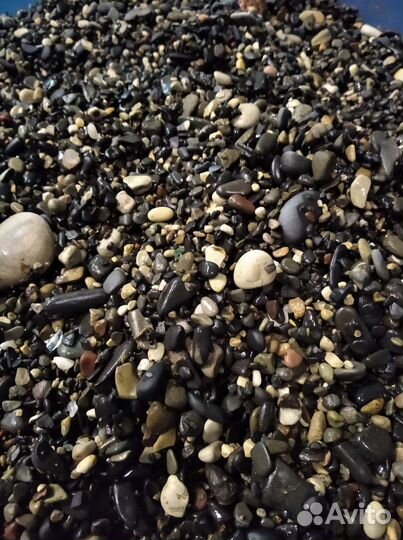 Аквариумные рыбки и коряги