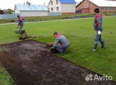 Газон рулонный