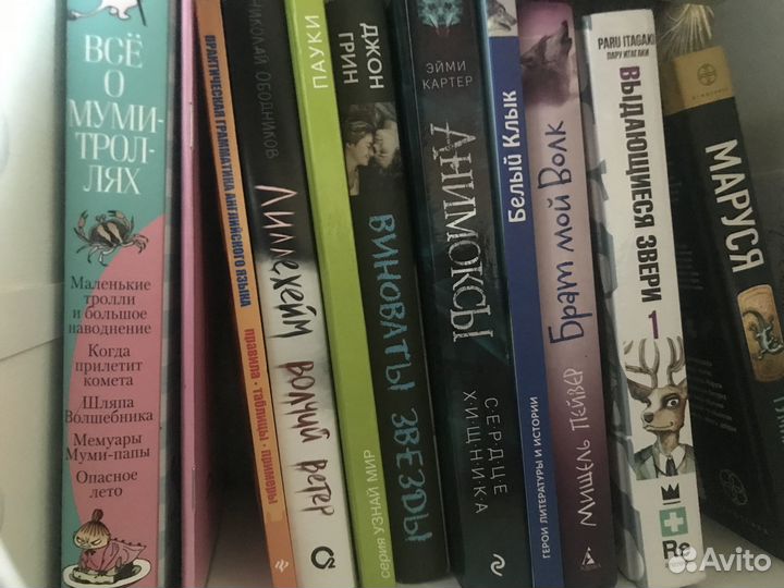 Книги коты воители
