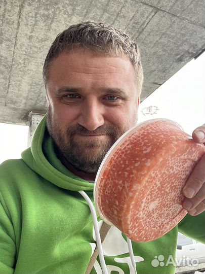 Красная икра Кета, 5минутка. Чукотка, 5-6.08. 23г