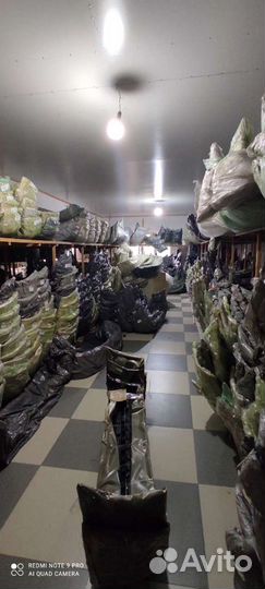 Кузовные детали ваз