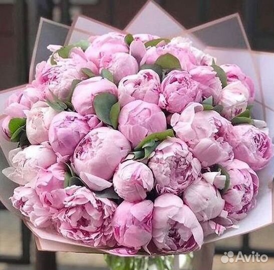 Пионы Букет пионов
