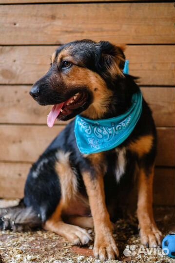 Лепс, подросток спасите мальчика