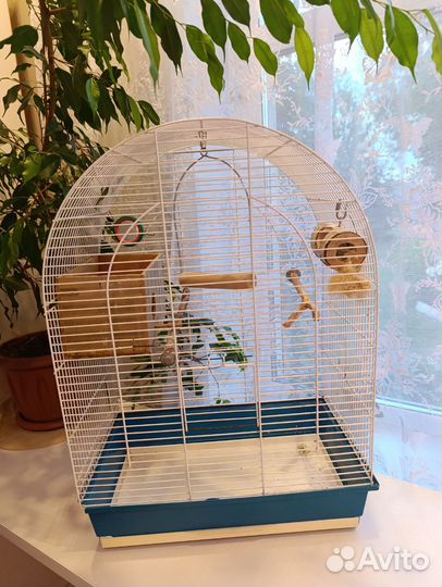 Клетка для попугая бу
