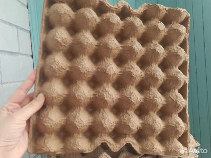 Лотки для яиц